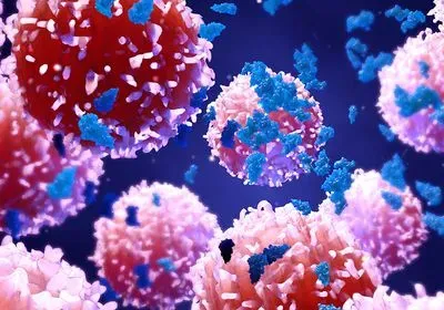 800x560-october-18-symp